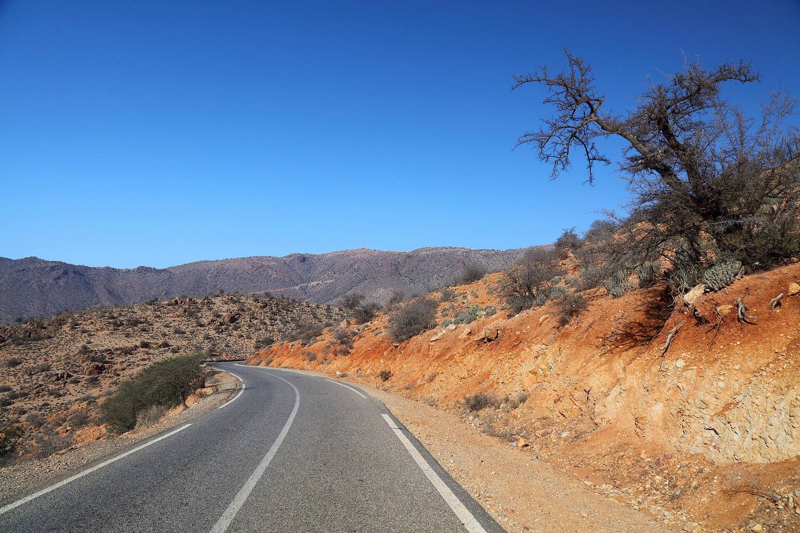 Anti-Atlas Loop — gravel day ride in Anti-Atlas, Morocco