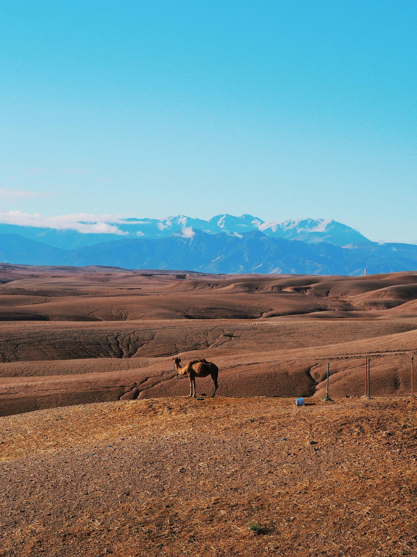 Marrakech → Agafay → Takerkoust Link — gravel route from Marrakech, Morocco